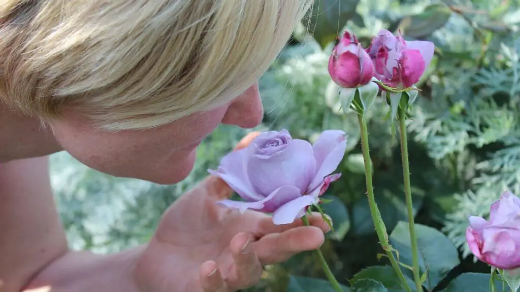 Mulher cheirando o aroma de uma flor - Marketing Olfativo: Criando Conexões Emocionais e Inconscientes